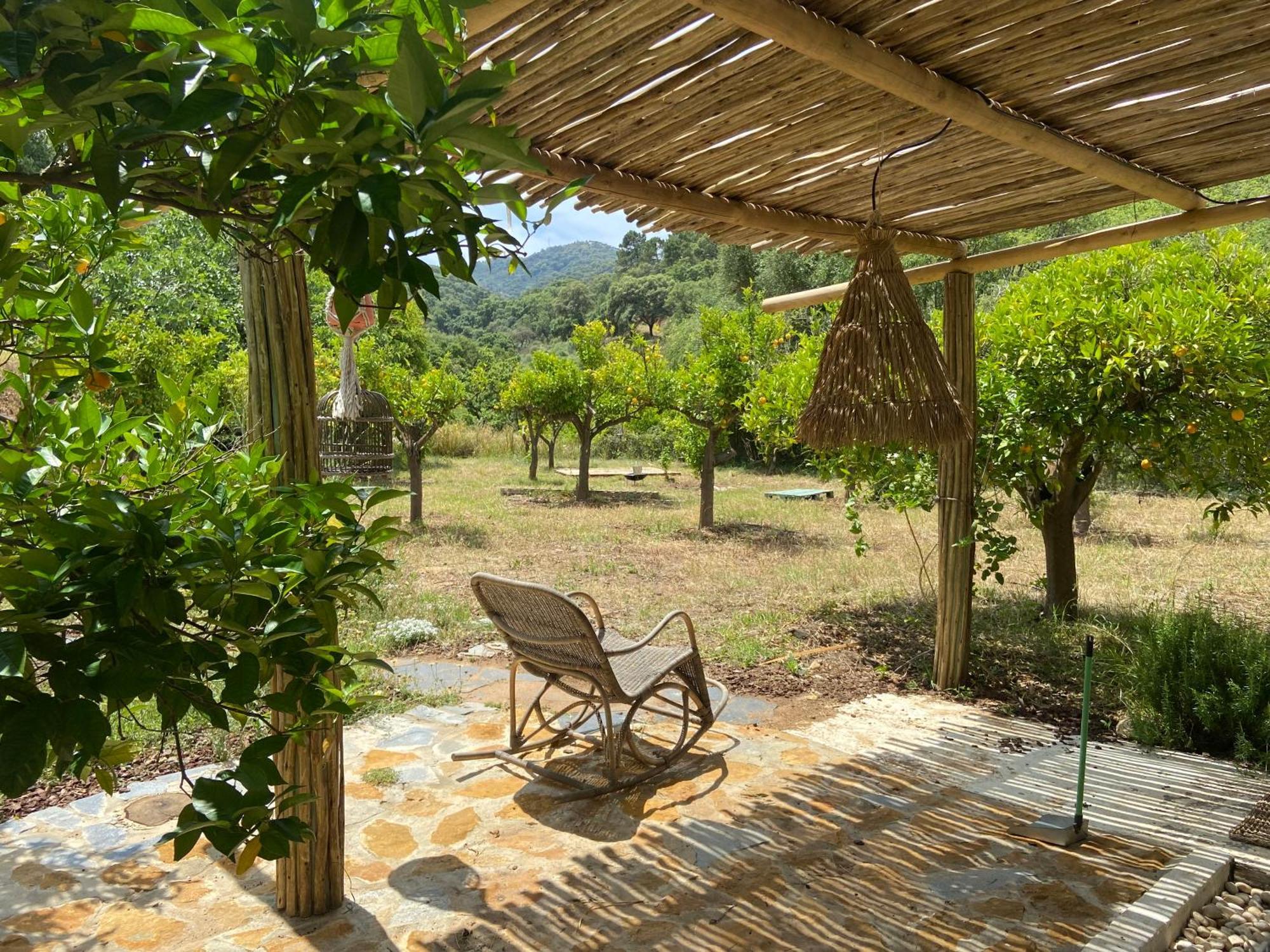 The4Elements Bed and Breakfast Monda Εξωτερικό φωτογραφία