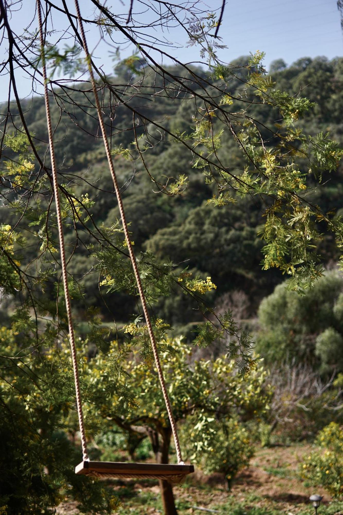 The4Elements Bed and Breakfast Monda Εξωτερικό φωτογραφία