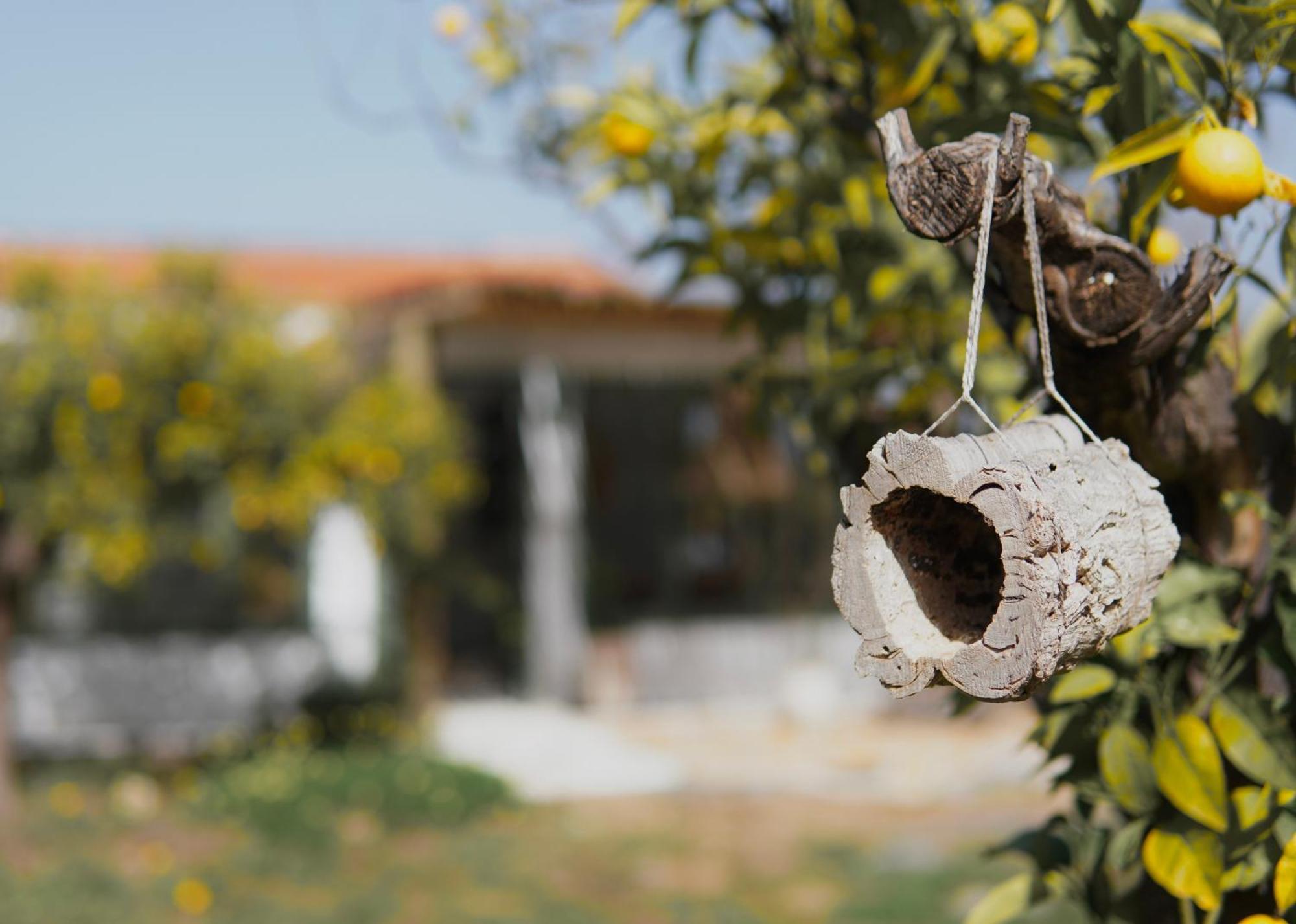 The4Elements Bed and Breakfast Monda Εξωτερικό φωτογραφία