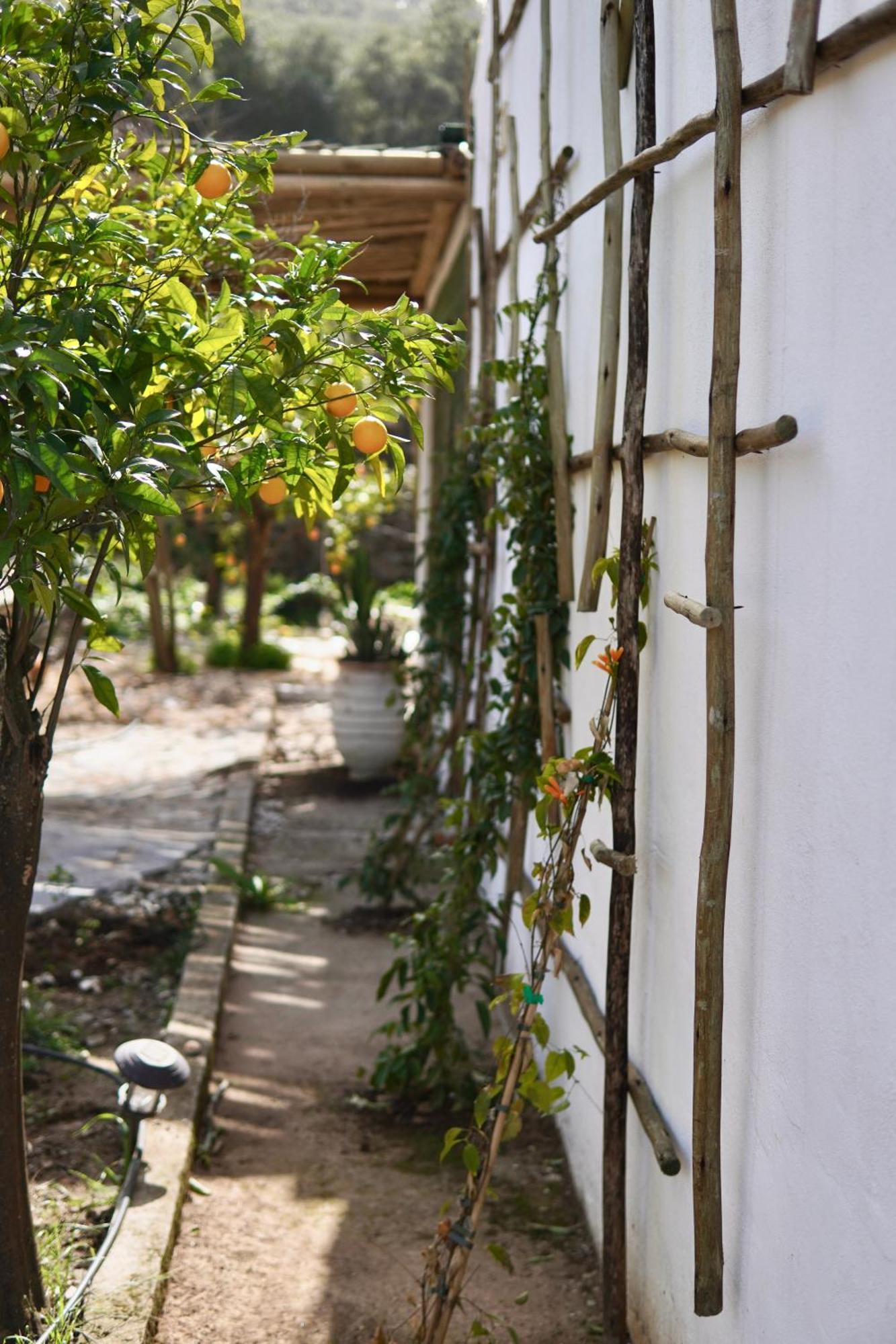 The4Elements Bed and Breakfast Monda Εξωτερικό φωτογραφία