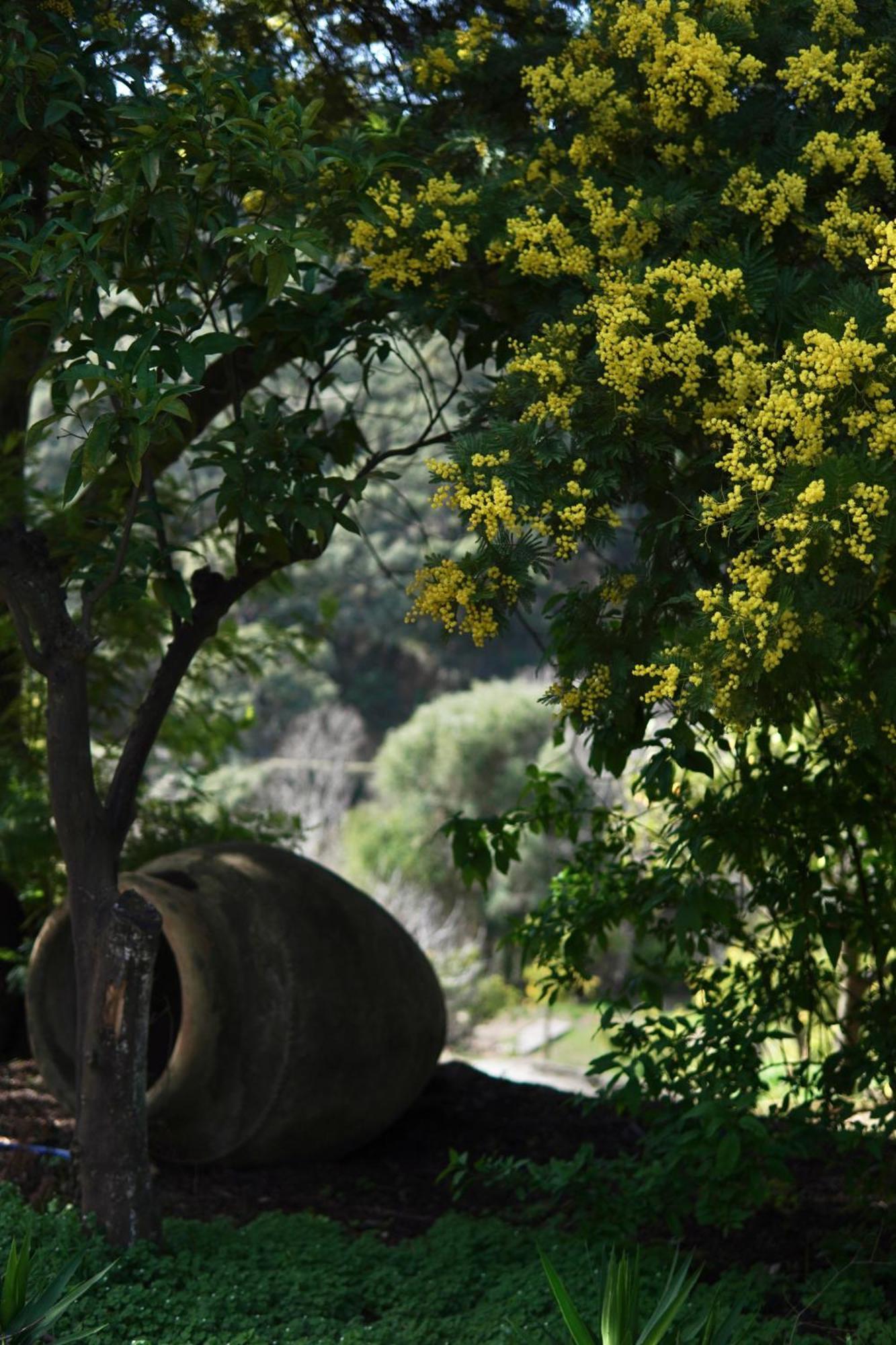 The4Elements Bed and Breakfast Monda Εξωτερικό φωτογραφία