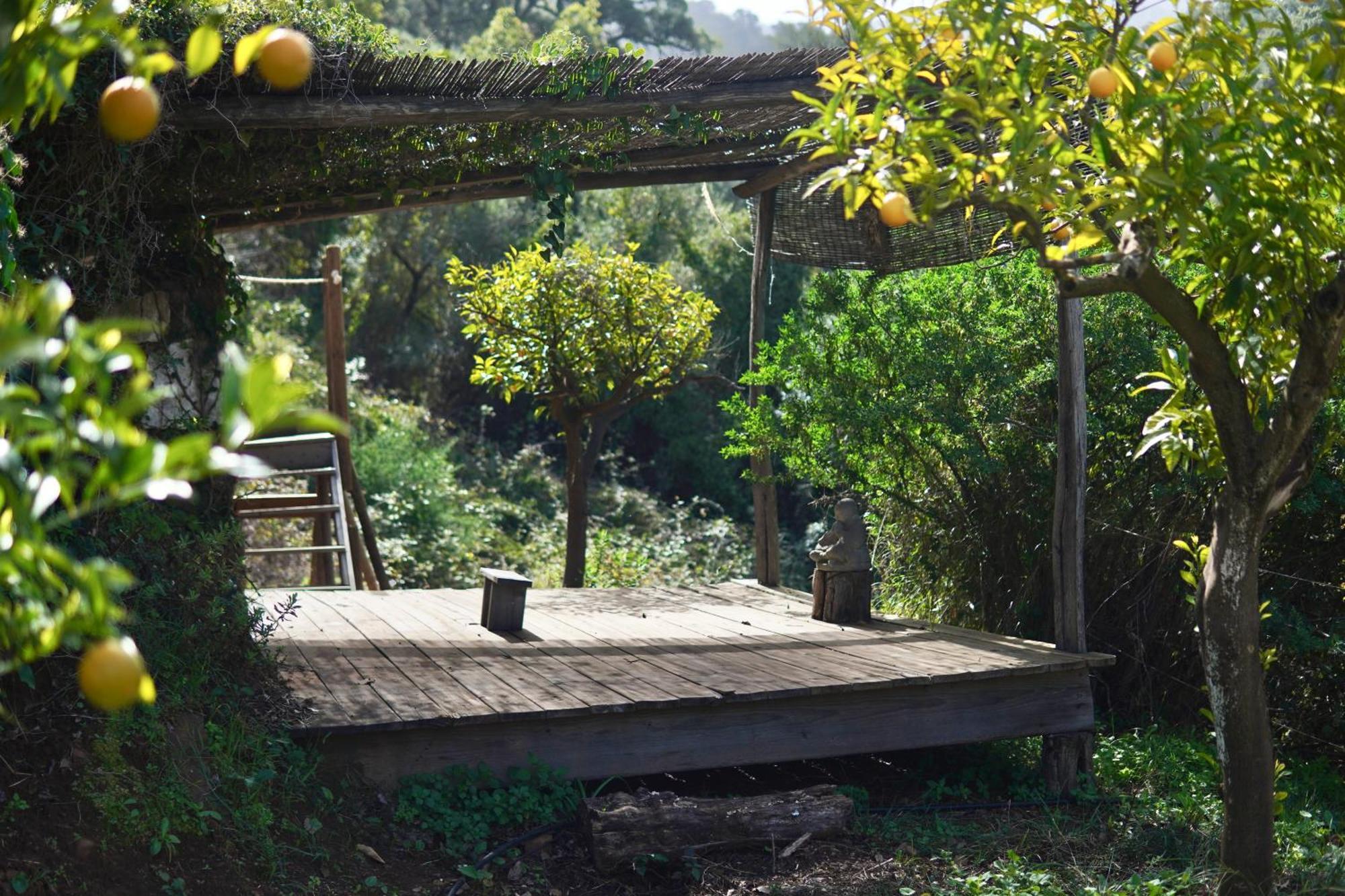 The4Elements Bed and Breakfast Monda Εξωτερικό φωτογραφία